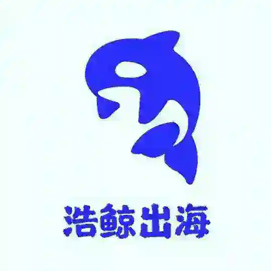 巴西支付，尼日利亚支付