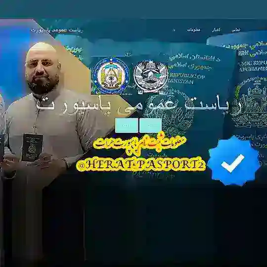 حل مشکلات پاسپورت، ویزا ایران، تذکره الکترونیکی