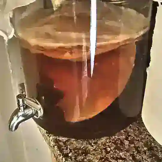 IAF - Fermentation π§ π»