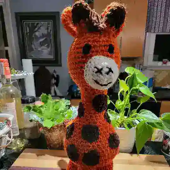 IAF - HomeCrafts