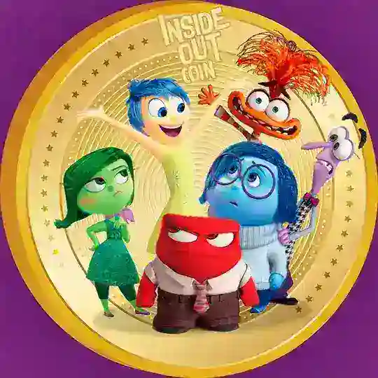 Inside Out Coin
