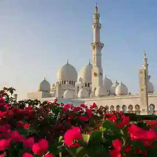 Rasululloh ﷺummatlari