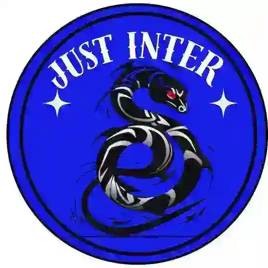 Just Inter chat