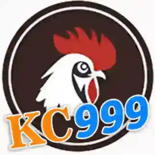 សង្វៀនចក្រី មាន់ជល់(KC999)