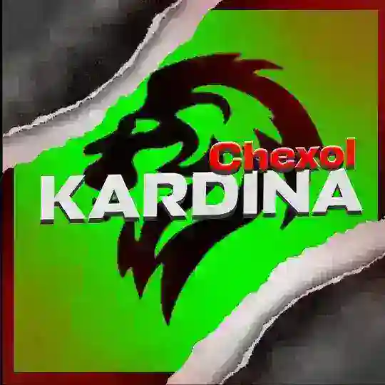 Kardina avto chexol