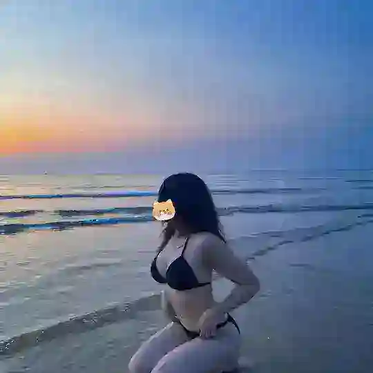 រឿងកូនជ្រូកថ្មីៗ