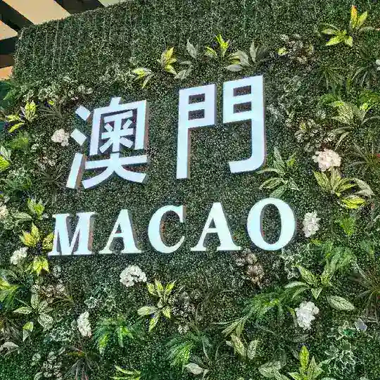 新澳门香港六合彩交流群
