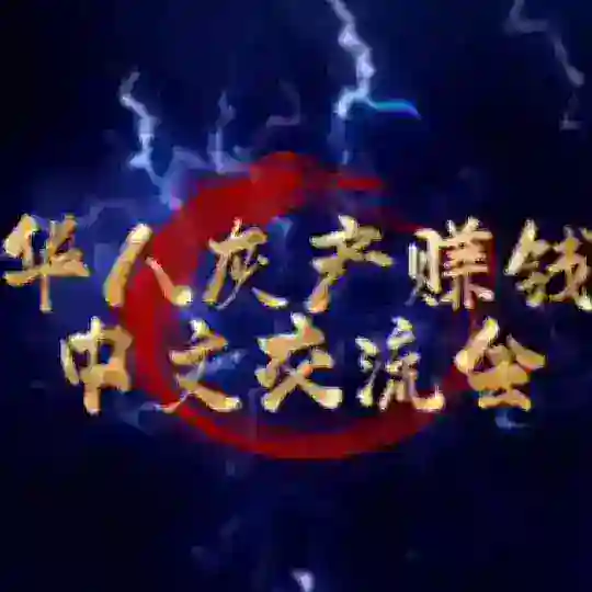 华人灰产赚钱中文交流会
