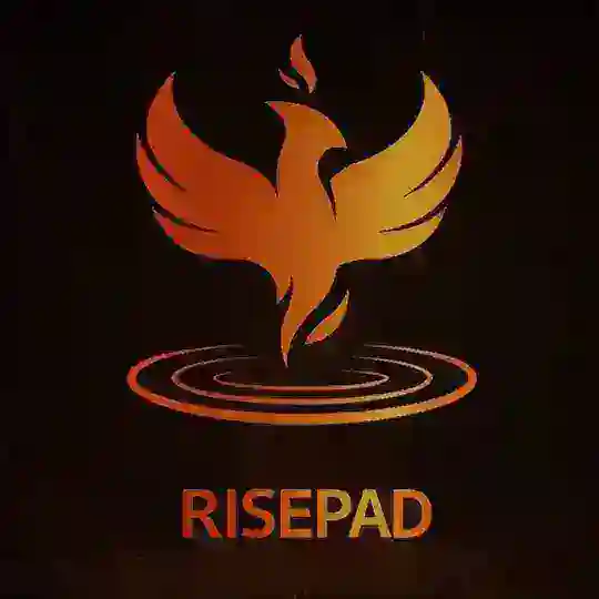 RISEPAD新项目准备中