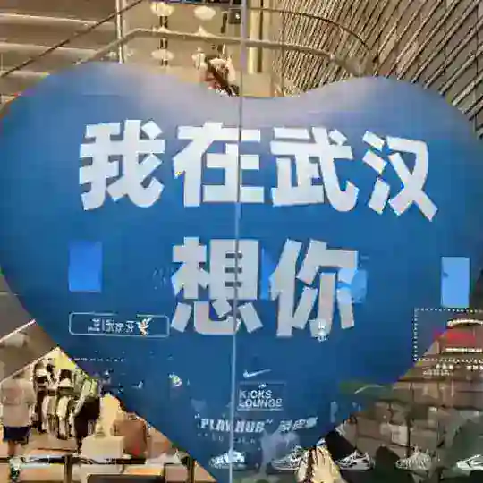 武汉修车调研群