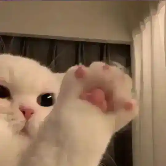 M交流群