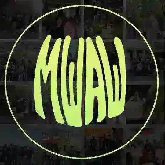 МШАШ