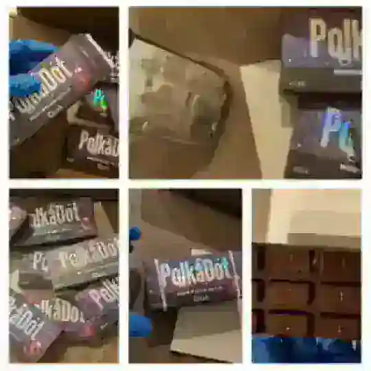 קהילת פטריות הקסם שוקולד