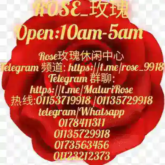 Rose🌹玫瑰,ChatGroup