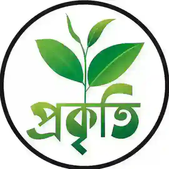 🌿🍃প্রকৃতির দৃশ্য🌿🍃 chat