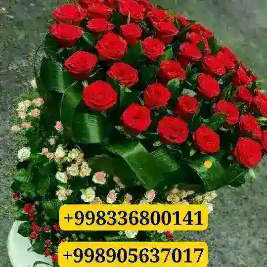 Ota Onamga Tabrik !🌹🌹va salom🌹🌹