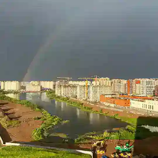 Общий чат новых фаз ПБ (Переделкино Ближнее)