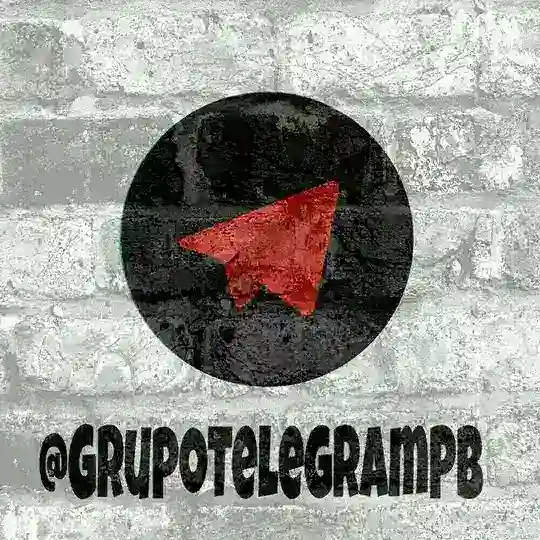Telegram Paraíba grupo