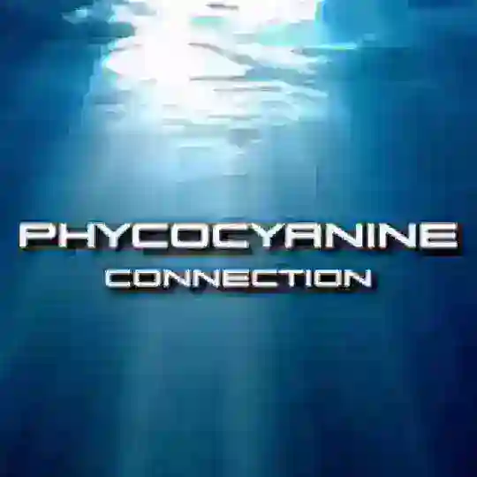 PHYCOCYANINE CONNECTION
