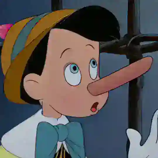 Pinocchio Community