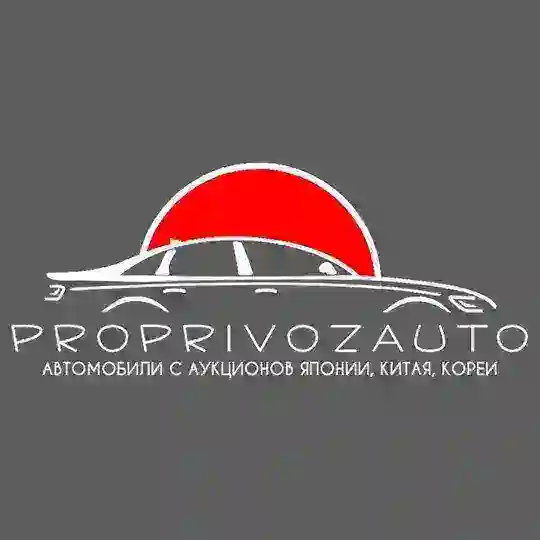 ProPrivozAuto - Chat