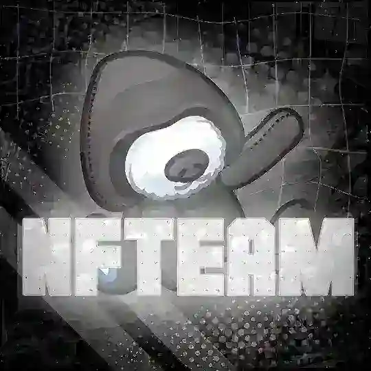 PROOFS | NFTeam