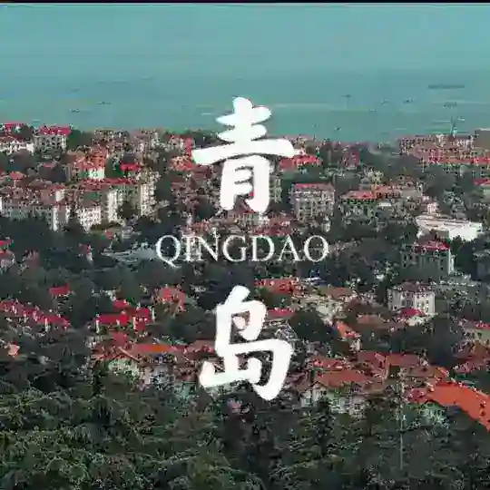 山东青岛啤酒交流群🍻🍻