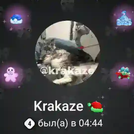 Чат ручений krakaze