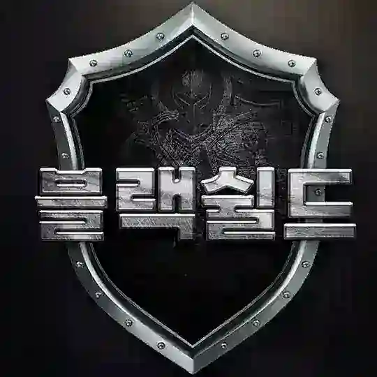 블랙쉴드