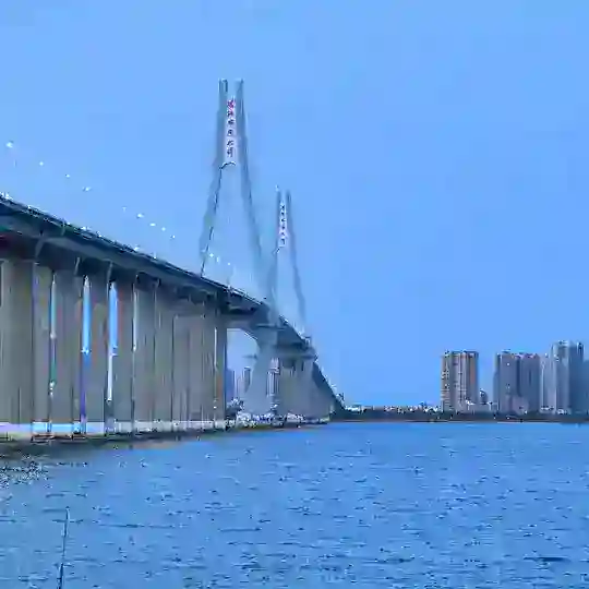深圳娱乐交流群
