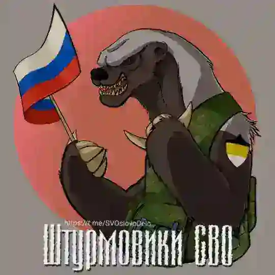 штурмовики СВО🫡