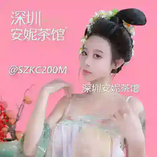 深圳快餐出击报告