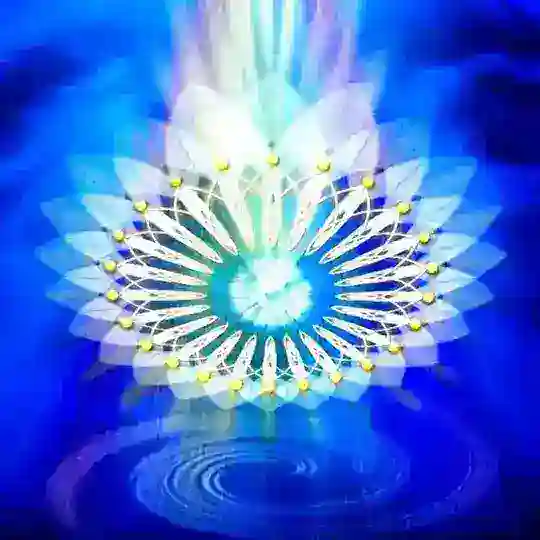 💡 Gʀᴜᴘᴏ Sᴇ Exᴘʀᴇssᴇ! 💡