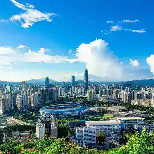 深圳蹭蹭大队