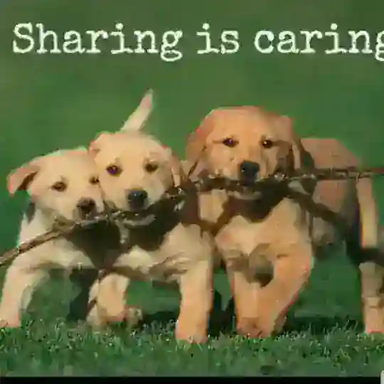 Sharing is Caring DD