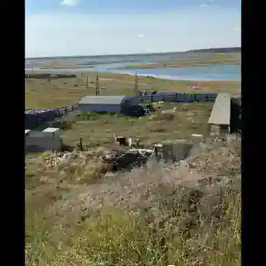 Спасение Борогонских смертников