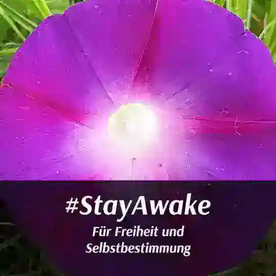 StayAwakeDEChat
