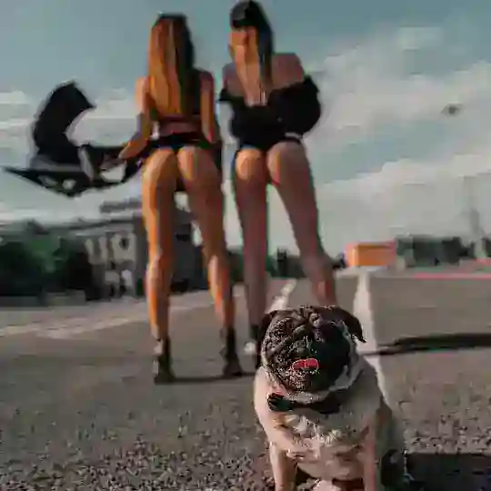 天津 修车