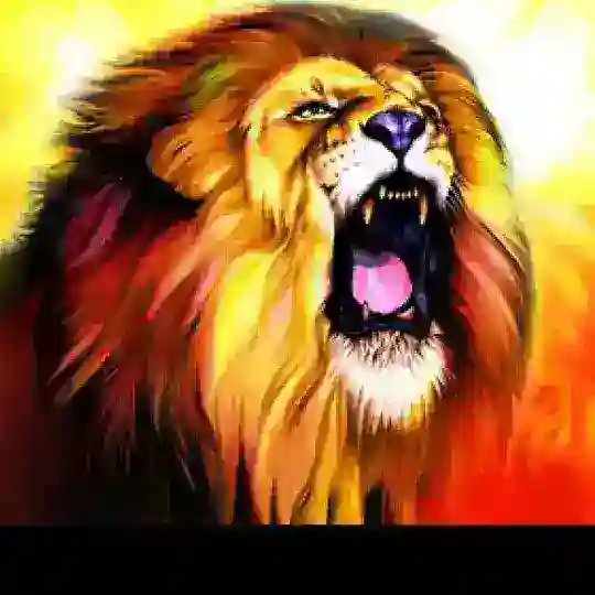 [ TOSS KING MUNNA ]