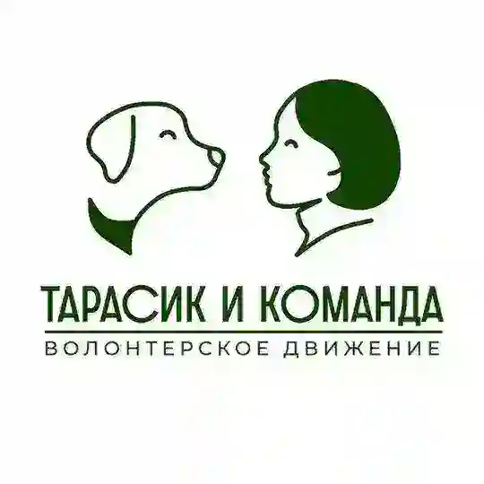 Болтушка канала "Тарасик и команда"