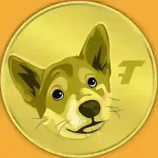Teddy - The Tile Doge CTO 🐕