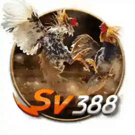 𝐒𝐕𝟑𝟖𝟖 ⚜️ Đ𝐚́ 𝐠𝐚̀ 𝐤𝐢𝐞̂́𝐦 𝐥𝐚̃𝐢 𝐦𝐨̂̃𝐢 𝐧𝐠𝐚̀𝐲