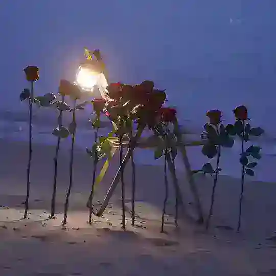 跑路/假粉✨曝光群（🈲广）