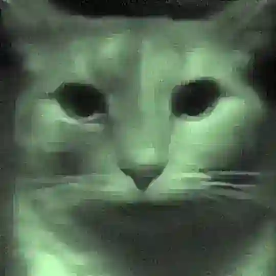 چت نکنید وصل شیم