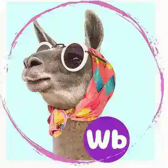 WB Look за 5 минут