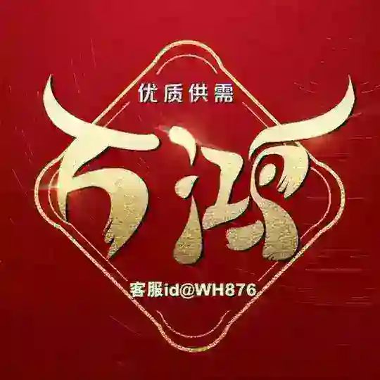 （灰姑娘退押中）万鸿 /飞机号/代开会员/+888出租