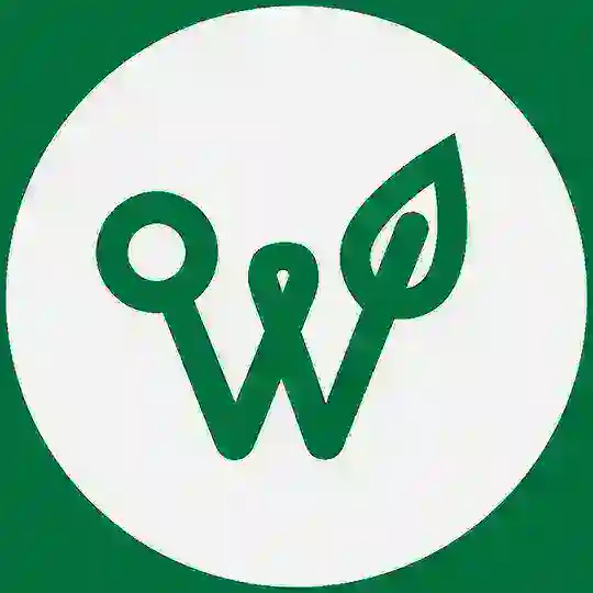 (Чат) Web3eco Плантации Павловнии