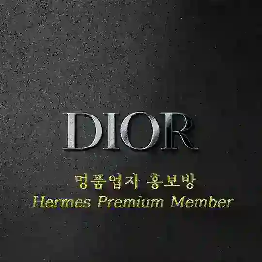 Dior 공식 자유방