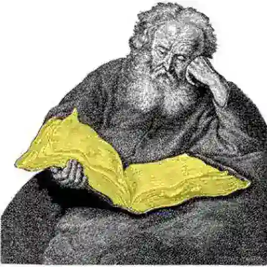 Yellow Pages Delhi NCR