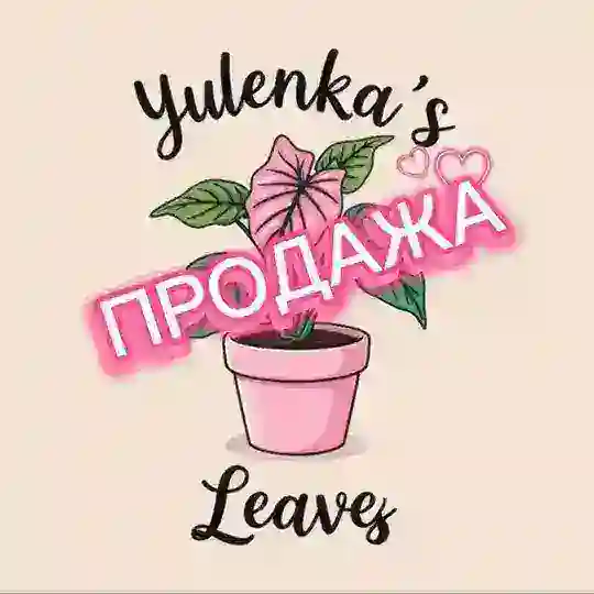~Yulenka's leaves Продажа излишков растений